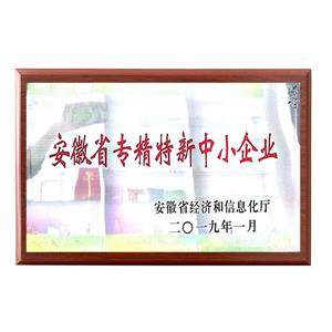 專精特新中小企業(yè) 